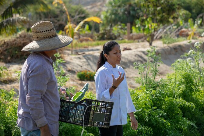 Cabo San Lucas Cooking Classes by Chef Ari - Who will enjoy this class most?