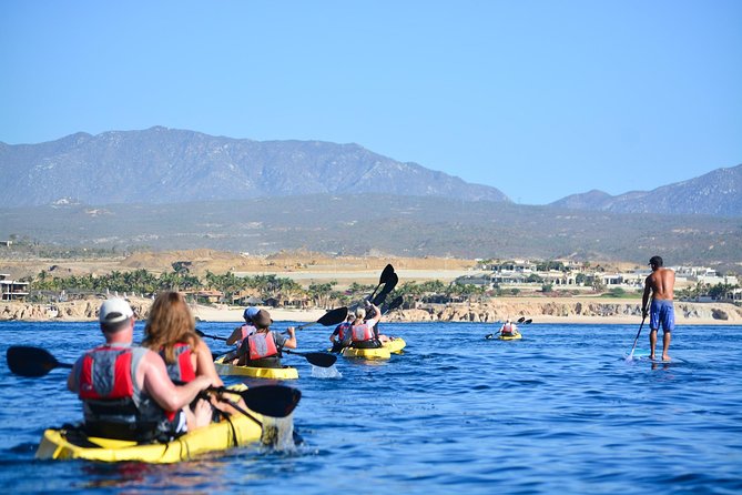 Cabo San Lucas Glass Bottom Kayak Tour and Snorkel at Two Bays - Chileno Bay: the main snorkeling stop