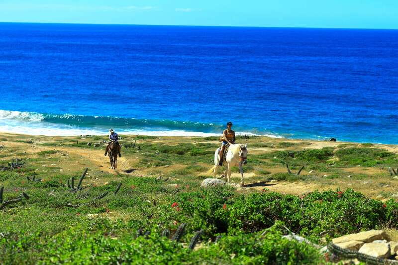 Cabo San Lucas: Horseback Riding in Migriño with Transfers - Riding from Migriño’s desert to the Pacific