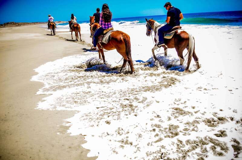 Cabo San Lucas: Horseback Riding in Migriño with Transfers - Desert plants, rocky trails, and coastal views