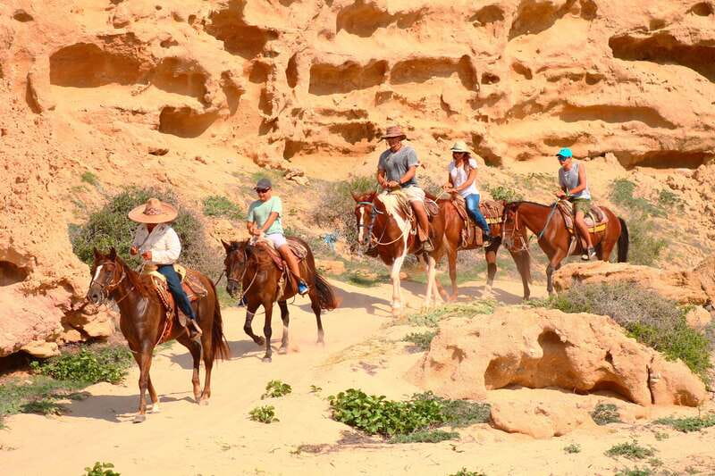 Cabo San Lucas: Horseback Riding in Migriño with Transfers - Guides who shape the experience