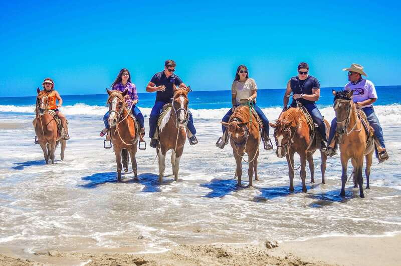 Cabo San Lucas: Horseback Riding in Migriño with Transfers - Is $87 a fair price?