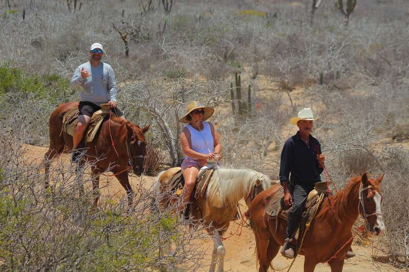 Cabo San Lucas: Horseback Riding in Migriño with Transfers - Timing, weather, and what to pack
