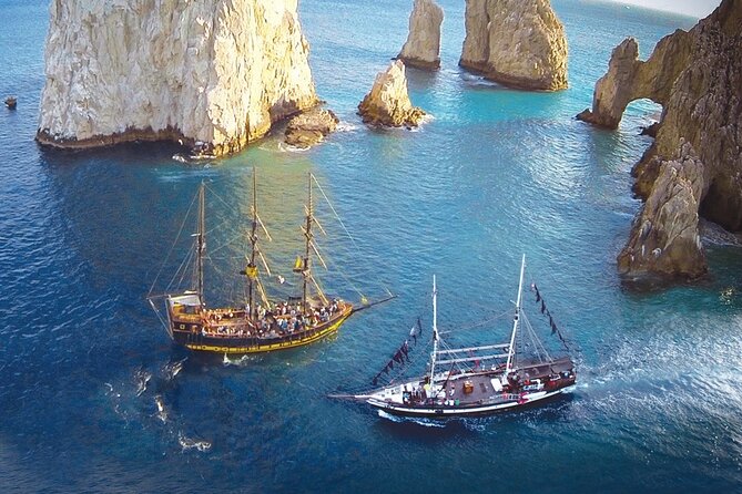 Cabo San Lucas Humpback Whale Watching Tour - A two-hour whale trip with a social feel