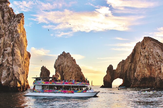 Cabo San Lucas Humpback Whale Watching Tour - Where the Pacific meets the Sea of Cortez
