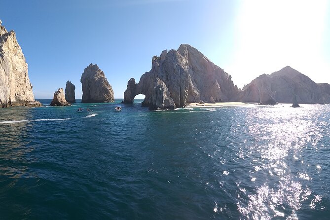 Cabo San Lucas Humpback Whale Watching Tour - Is the $99 price a fair deal?