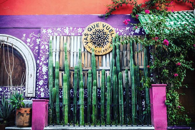Cabo San Lucas Mezcal Tasting and Cocktail Class - What the strongest praise gets right