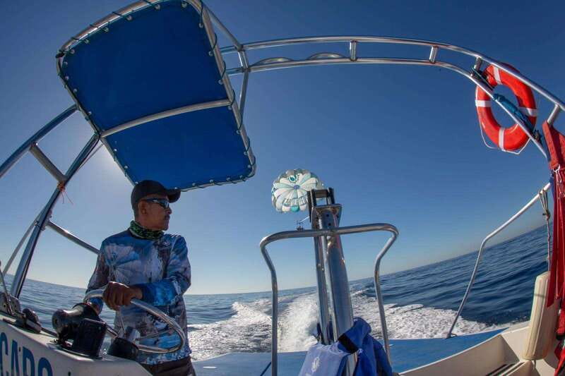 Cabo San Lucas: Parasailing Experience - Should you book the Cabo parasailing flight?