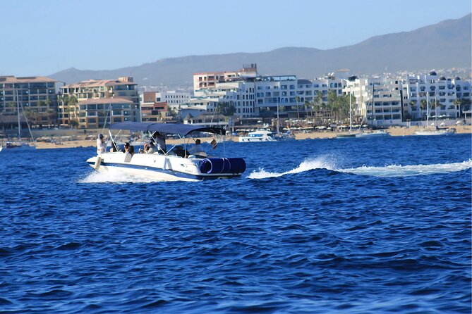 Cabo San Lucas Private Yacht Tour with Snorkel - Whale watching when the water is not inviting
