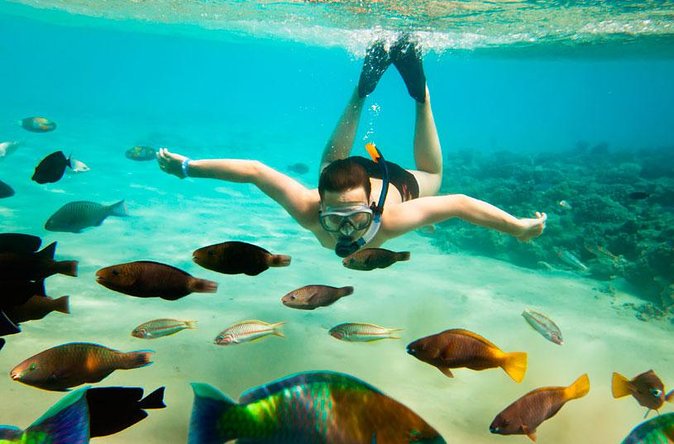Cabo San Lucas Shopping, Tequila Tasting, and Snorkel Tour - Snorkeling is the most weather-sensitive part