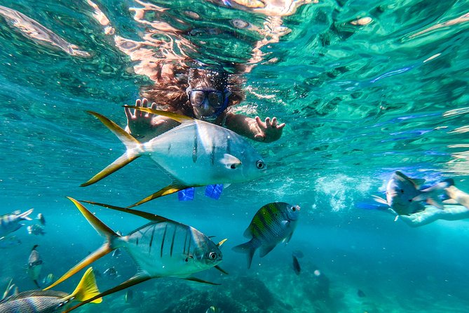 Cabo San Lucas Shopping, Tequila Tasting, and Snorkel Tour - El Arco and Land’s End set the tone