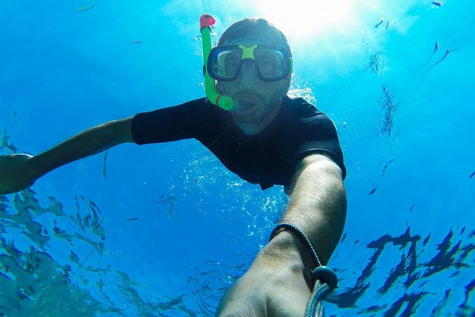 Cabo San Lucas Short Snorkeling Tour with Divemaster Guide - What this two-hour Cabo outing actually feels like