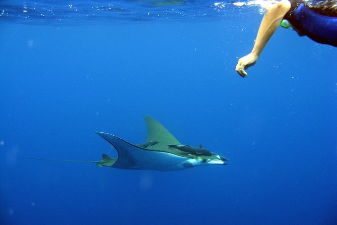 Cabo San Lucas Short Snorkeling Tour with Divemaster Guide - The boat ride to Land’s End