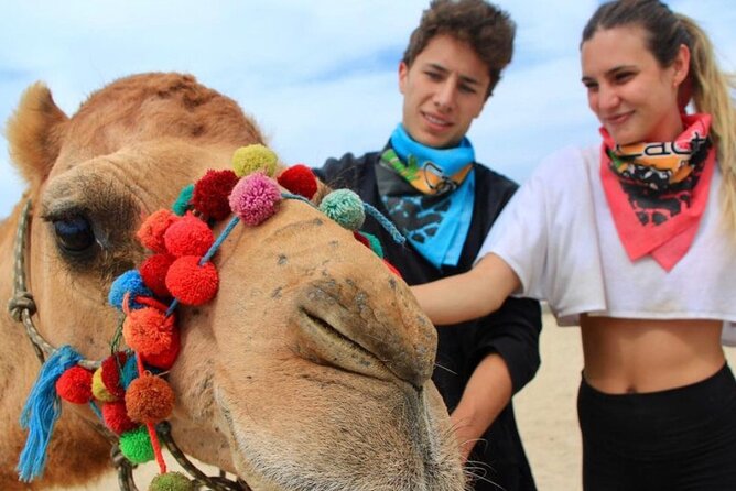 Cabo San Lucas Side by Side and Camel Riding Adventure - Key points to know before you book