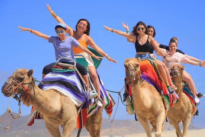 Cabo San Lucas Side by Side and Camel Riding Adventure - Meeting the camels after the trail ride