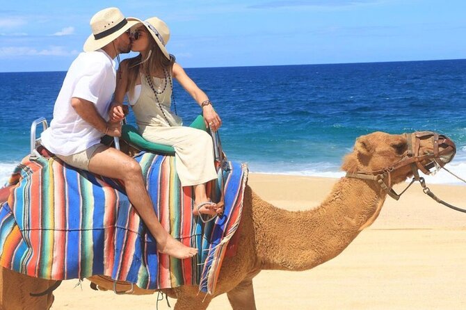 Cabo San Lucas Side by Side and Camel Riding Adventure - Booking details, cancellation, and practical questions