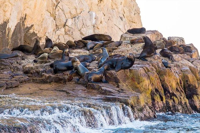 Cabo San Lucas sightseeing and Famous Arch tour - The price makes sense if you want several services in one booking