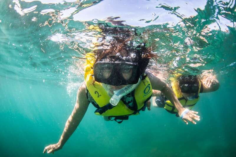 Cabo San Lucas: Snorkel, Lunch and Sail Experience - A Cabo boat trip built around the Arch