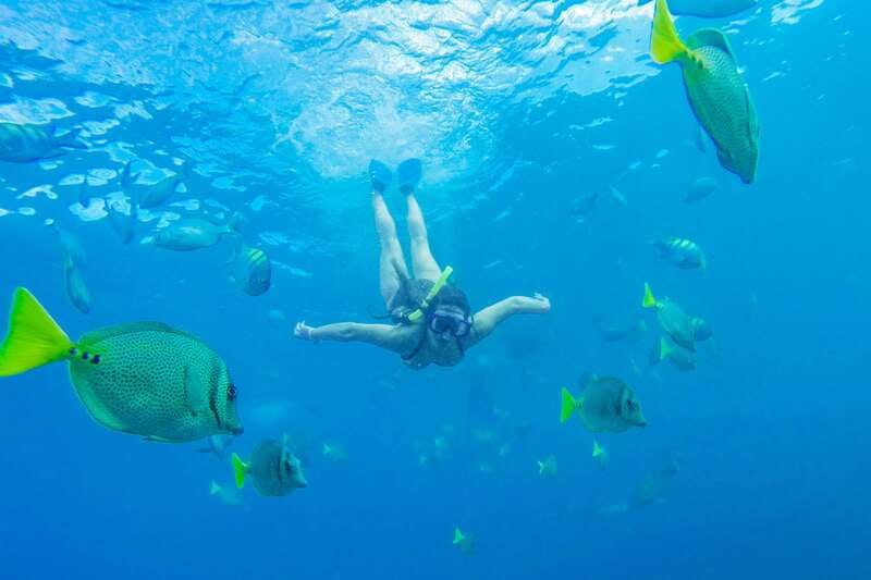 Cabo San Lucas: Snorkel, Paddle-board, and/or Kayak Tour - A three-hour sampler of Cabo’s best water activities