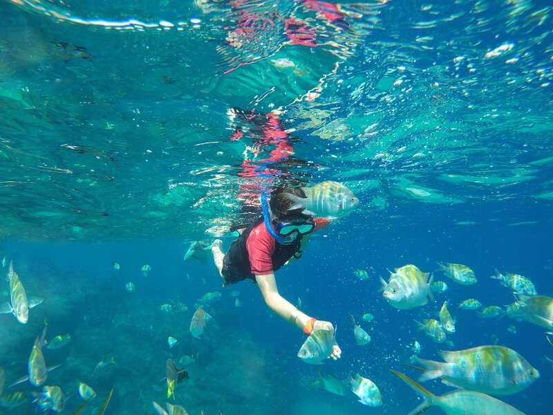 Cabo San Lucas: Snorkel, Paddle-board, and/or Kayak Tour - What the guides add for first timers