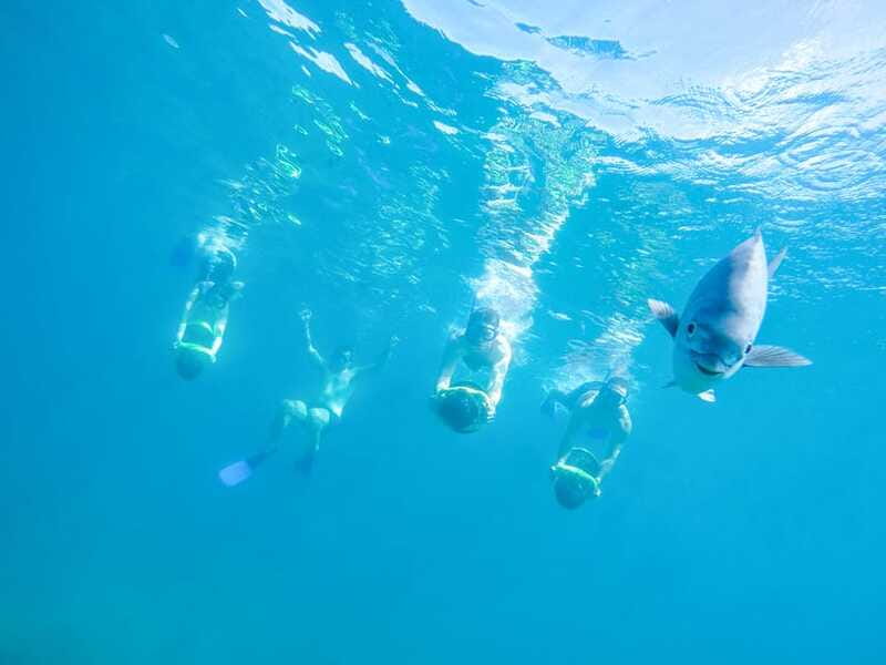Cabo San Lucas: Snorkel, Paddle-board, and/or Kayak Tour - The Arch, sea lions, and a short bay cruise