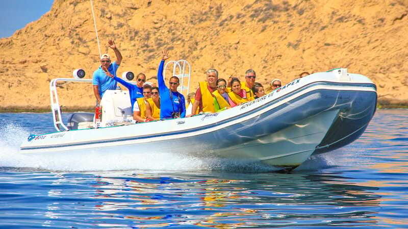 Cabo San Lucas: Snorkel, Paddle-board, and/or Kayak Tour - Should you book this Cabo water tour?
