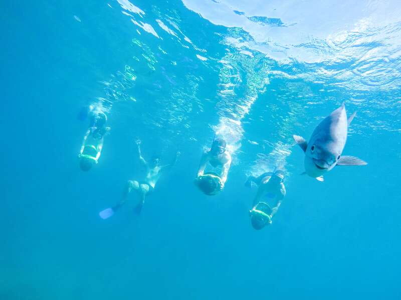 Cabo San Lucas: Snorkel, Paddle-board, and/or Kayak Tour - From the marina to the natural aquarium