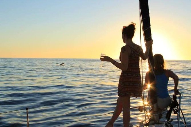 Cabo San Lucas Sunset Sailing Shared Cruise - Drinks, appetizers, and onboard comfort