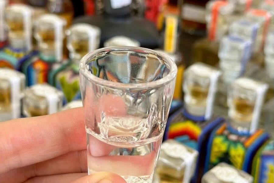 Cabo San Lucas Tequila Tasting and Mixology Class in Tasting Room - Mercabo Gourmet Street Food in central Cabo
