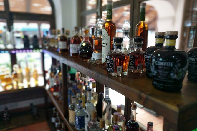 Cabo San Lucas Tequila Tasting Experience - Six tequilas, from first sip to comparison