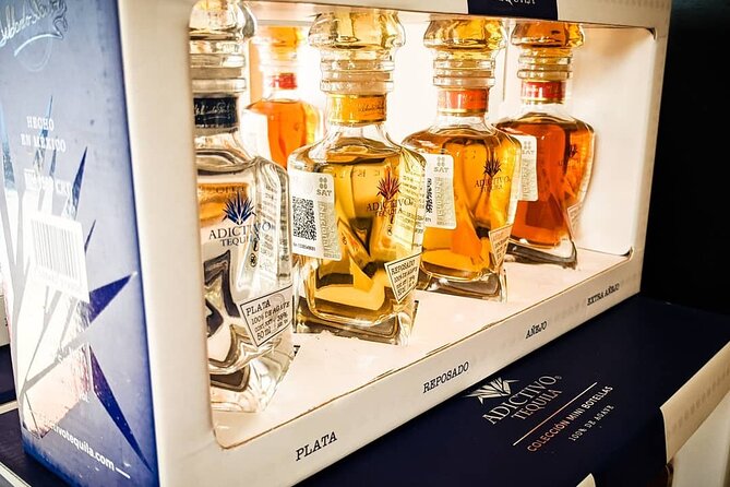 Cabo San Lucas Tequila Tasting Experience - Food pairings make the $40 price easier to judge