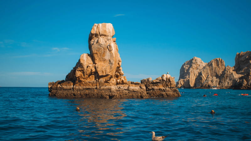 Cabo San Lucas: Tour paseo al Arco + bajada en playa - Key points to know before you go