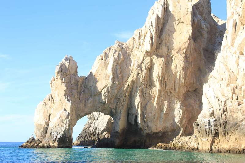 Cabo San Lucas: Up-Close Whale Watching Small-Group Tour - Ninety minutes searching for whales