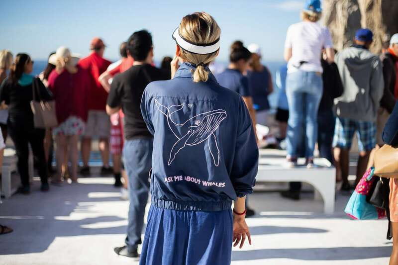 Cabo San Lucas: Whale Watching Breakfast Cruise - Starting at Dock 0 beside Cabo’s Arch