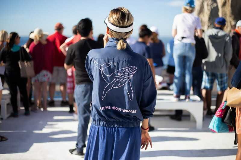 Cabo San Lucas: Whale Watching Breakfast Cruise - Open bar, with a practical warning