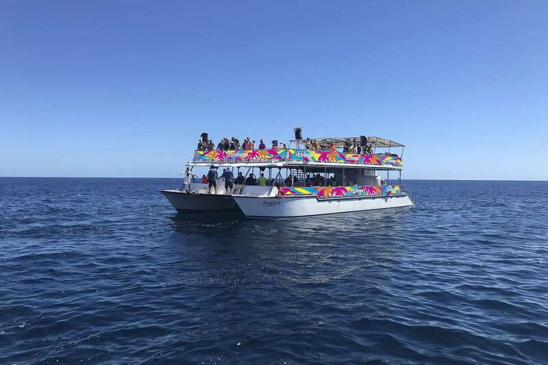 Cabo San Lucas: Whale Watching Breakfast Cruise - What the $99 price includes