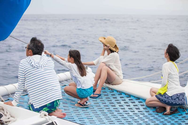 Cabo San Lucas: Whale Watching Catamaran Experience - Should you book the Pez Gato whale cruise?