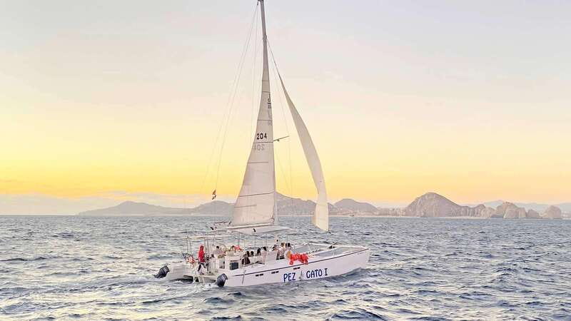Cabo San Lucas: Whale Watching Experience on Catamaran - Is $101 a fair price?