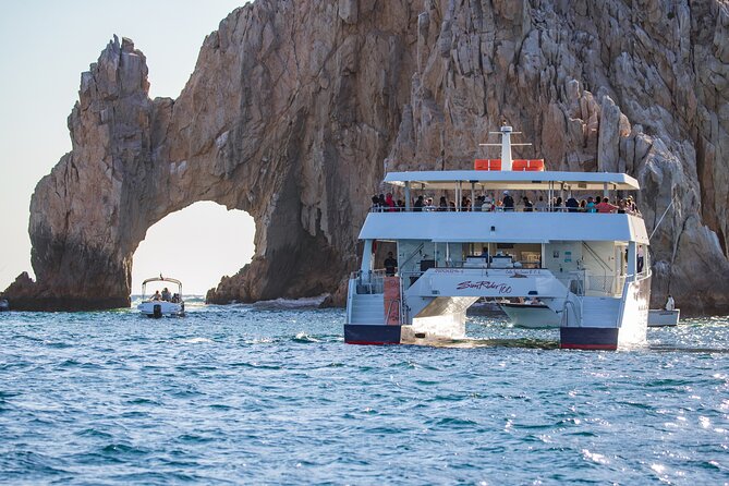 Cabo San Lucas Whale Watching Lunch Cruise - A fresh Mexican buffet after the whale search