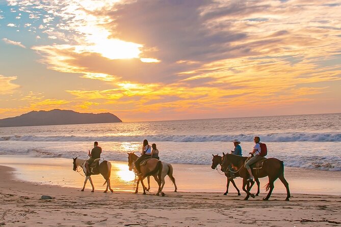 Cabo Shore Excursion: Beach Horseback Ride & Tequila Tasting - The horses and guides make the difference