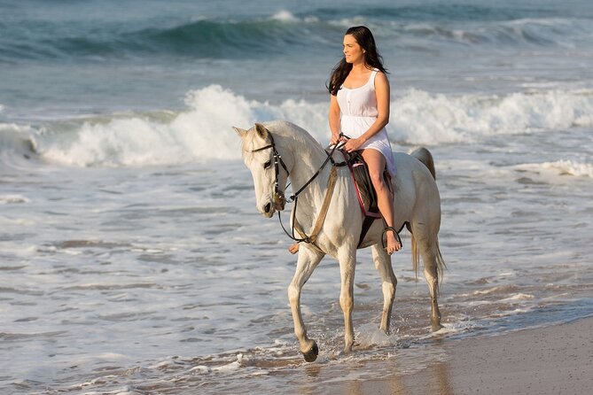 Cabo Shore Excursion: Beach Horseback Ride & Tequila Tasting - How the three-hour outing works