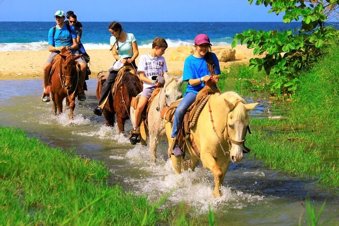 Cabo Shore Excursion: Beach Horseback Ride & Tequila Tasting - The real price is more than $70