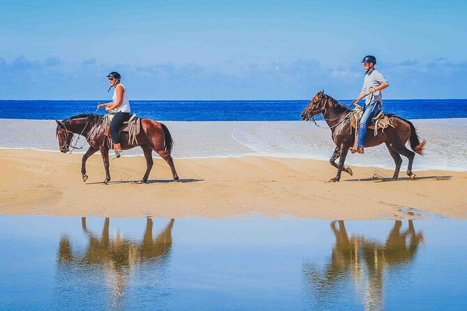 Cabo Shore Excursion: Beach Horseback Ride & Tequila Tasting - Migrino Beach, the real centerpiece