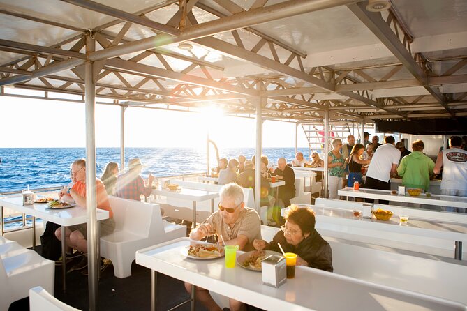 Cabo Sunset Dinner Cruise: Fajitas, Lands End and Party - Wildlife sightings are a welcome bonus