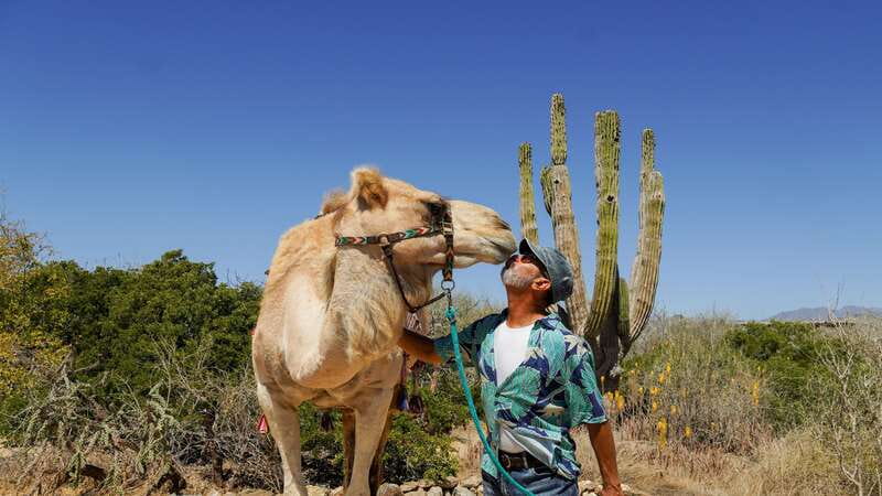 Cabo: Todo Santos Tour with Camel Ranch, Tequila and Lunch - The guide can shape the whole day
