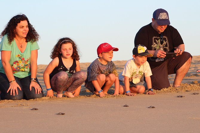 Cabo Turtle Release - What the marine biology lesson adds