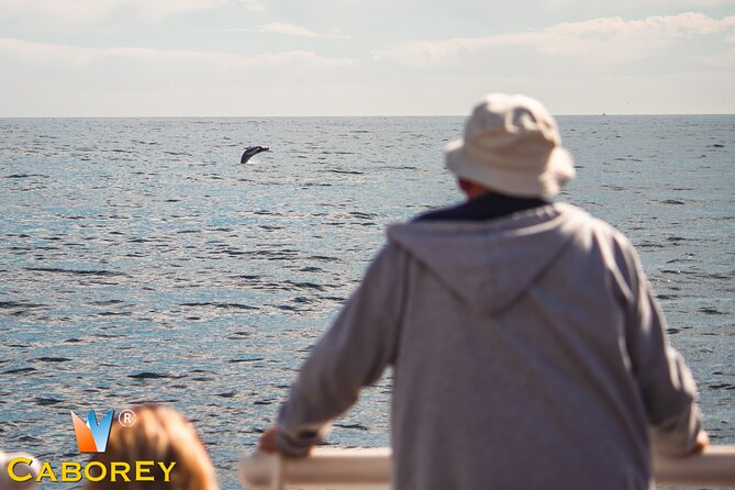 Cabo Whale Watch Three-Level Vessel and Majestic Arch - Key points to know before booking