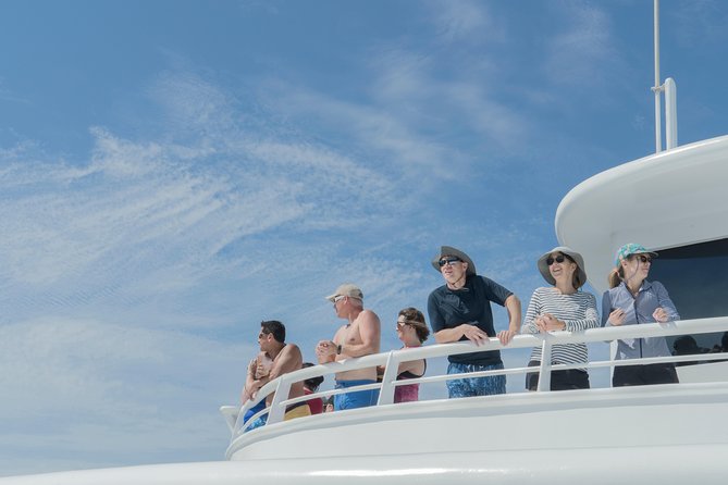 Cabo Whale Watch Three-Level Vessel and Majestic Arch - El Arco is the visual centerpiece
