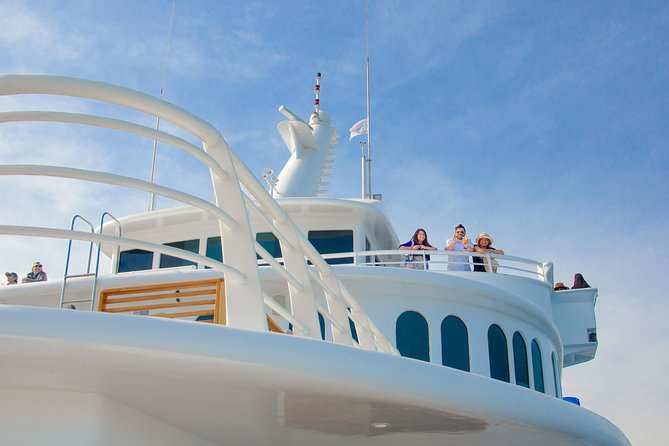Cabo Whale Watch Three-Level Vessel and Majestic Arch - What the fare includes, and what it does not