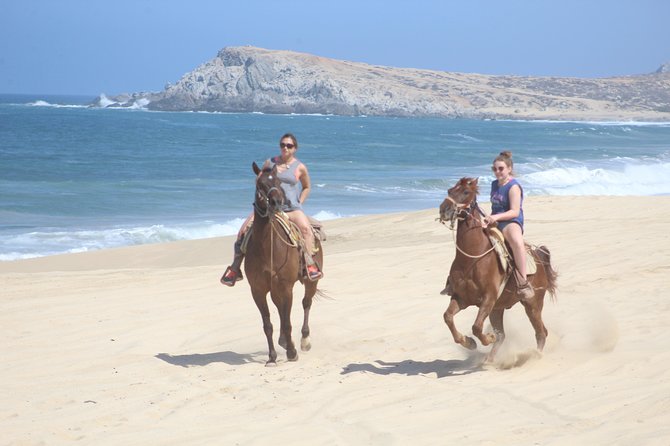 Cabo White Sand Horseback Riding Tour and Tequila Tasting - Key points to know before you book